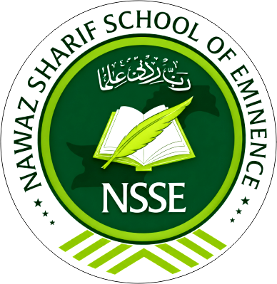 NSSE Logo